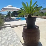 House Daisy