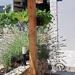 House Daisy Villa
