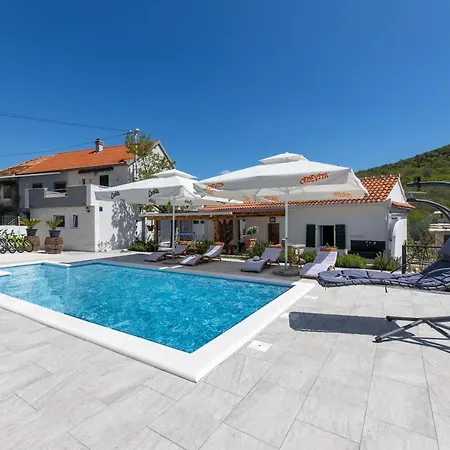 House Daisy Prapatnica