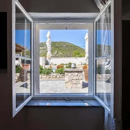 House Daisy * Prapatnica