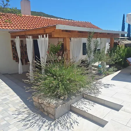 House Daisy * Prapatnica